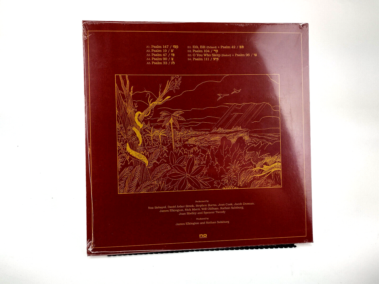 Nathan Salsburg - תהלים = Psalms, Vinyl, LP - Sealed Copy!