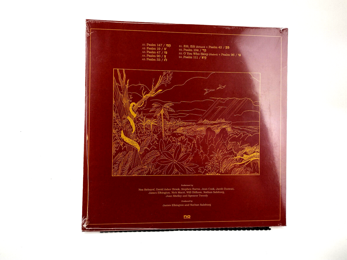Nathan Salsburg - תהלים = Psalms, Vinyl, LP - Sealed Copy!