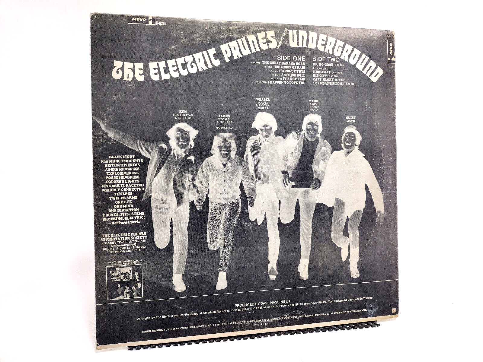 The Electric Prunes - Underground, Vinyl, LP - Mono - Terre Haute