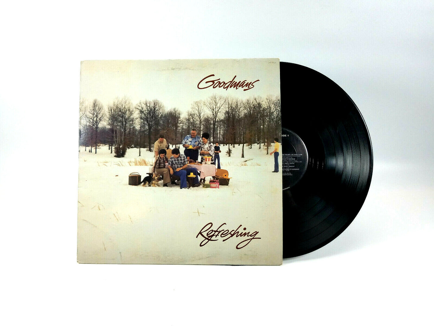 LOT OF 4 GOODMAN FAMILY LPs - All Cleaned w/ The Vinyl Vac System!