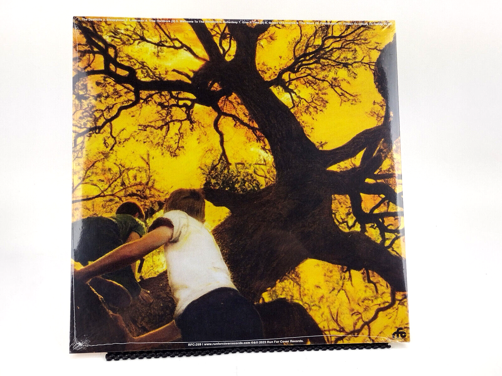 Fiddlehead (2) - Death Is Nothing To Us, Vinyl, LP - Sealed Copy!