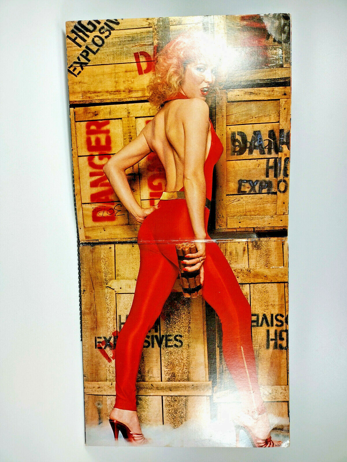 Tanya Tucker – TNT MCA Records – MCA-3066 Gatefold LP - VG