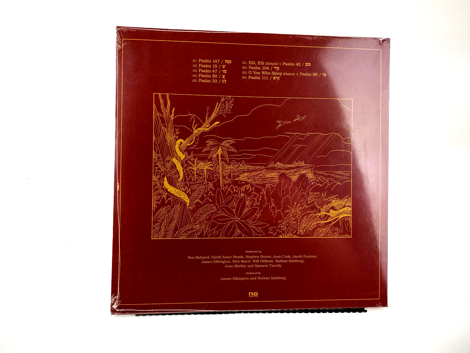 Nathan Salsburg - תהלים = Psalms, Vinyl, LP - Sealed Copy!