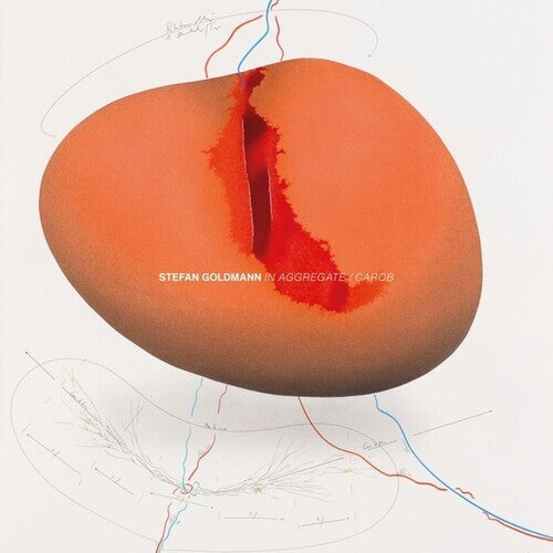 Stefan Goldmann - In Aggregate / Carob 10" Vinyl 45RPM