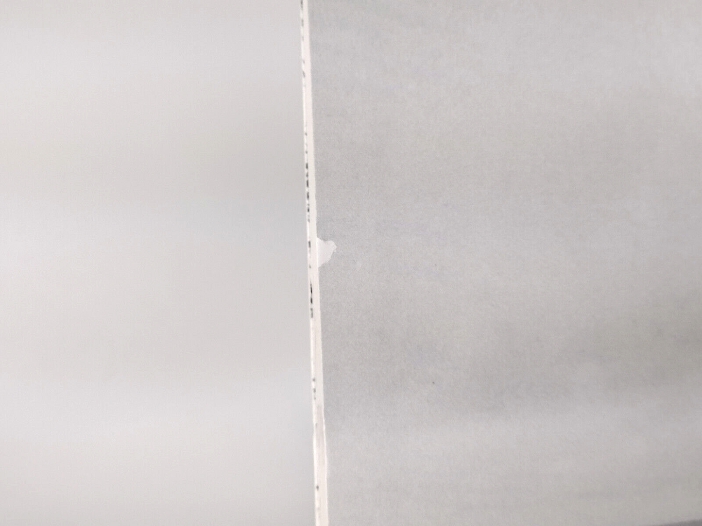 Tyler Ramsey - New Lost Ages - Milky White LP