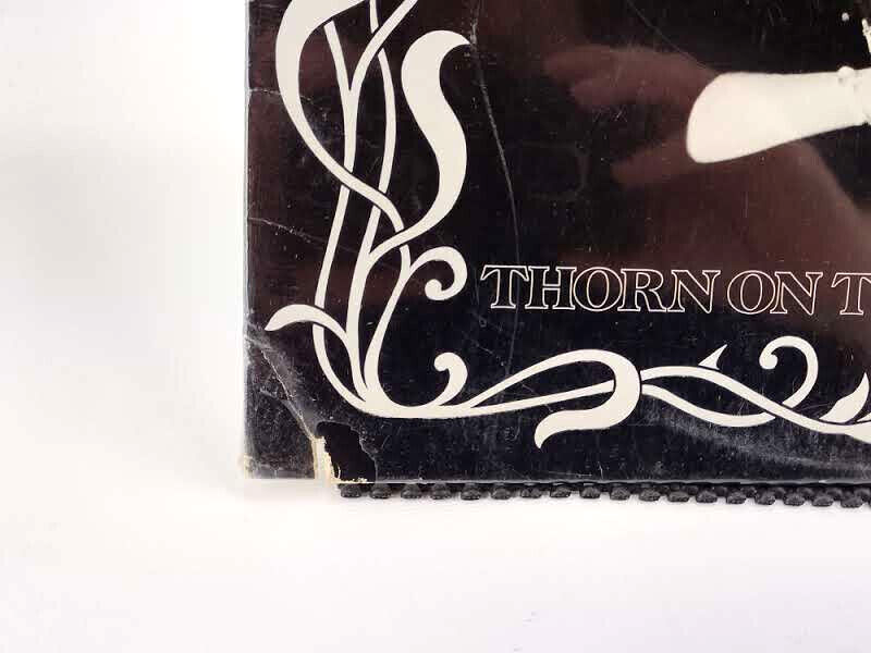 Even Stevens – Thorn On The Rose, Vinyl, LP, Sealed Copy!