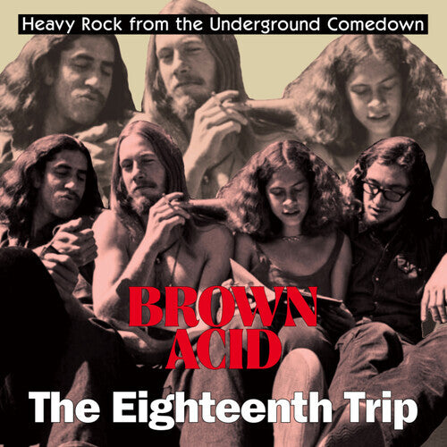Various - Brown Acid: The Eighteenth Trip, Vinyl, LP - Sealed Copy!
